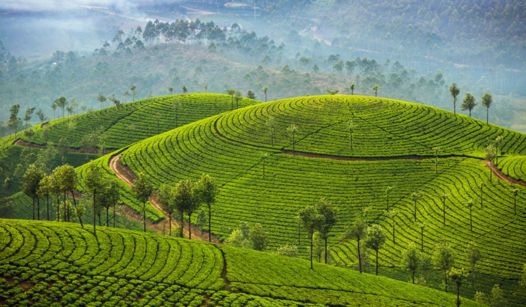 Srí Lanka